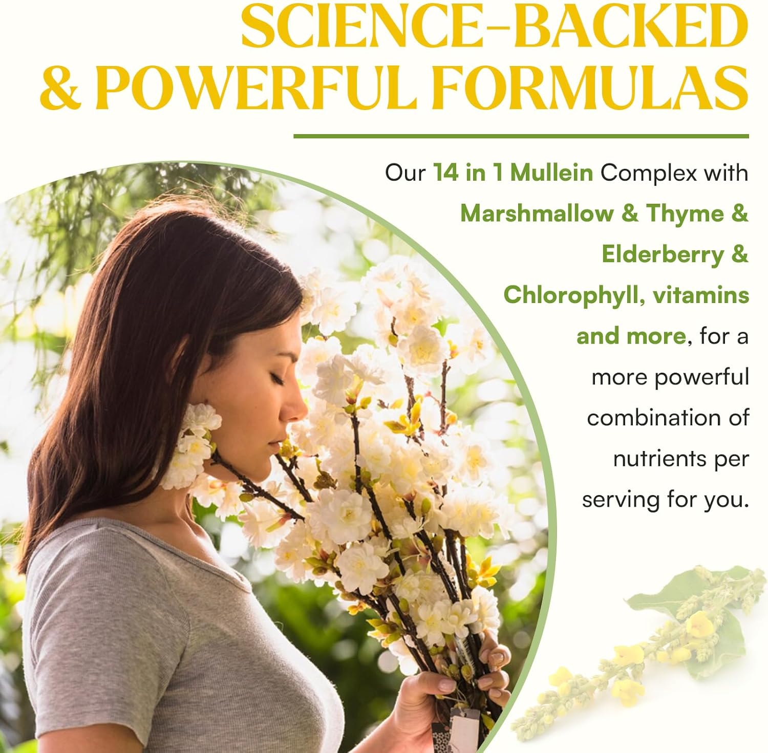 Mullein Drops For Lungs, Liposomal 14 In 1 Mullein Leaf Extract For Lungs, Mullein Drops with Elderberry, Chlorophyll, Thyme - for Lung Cleanse, Detox, Respiratory, Immune Health, 3 Fl 0Z, Mint Flavor - Image 6