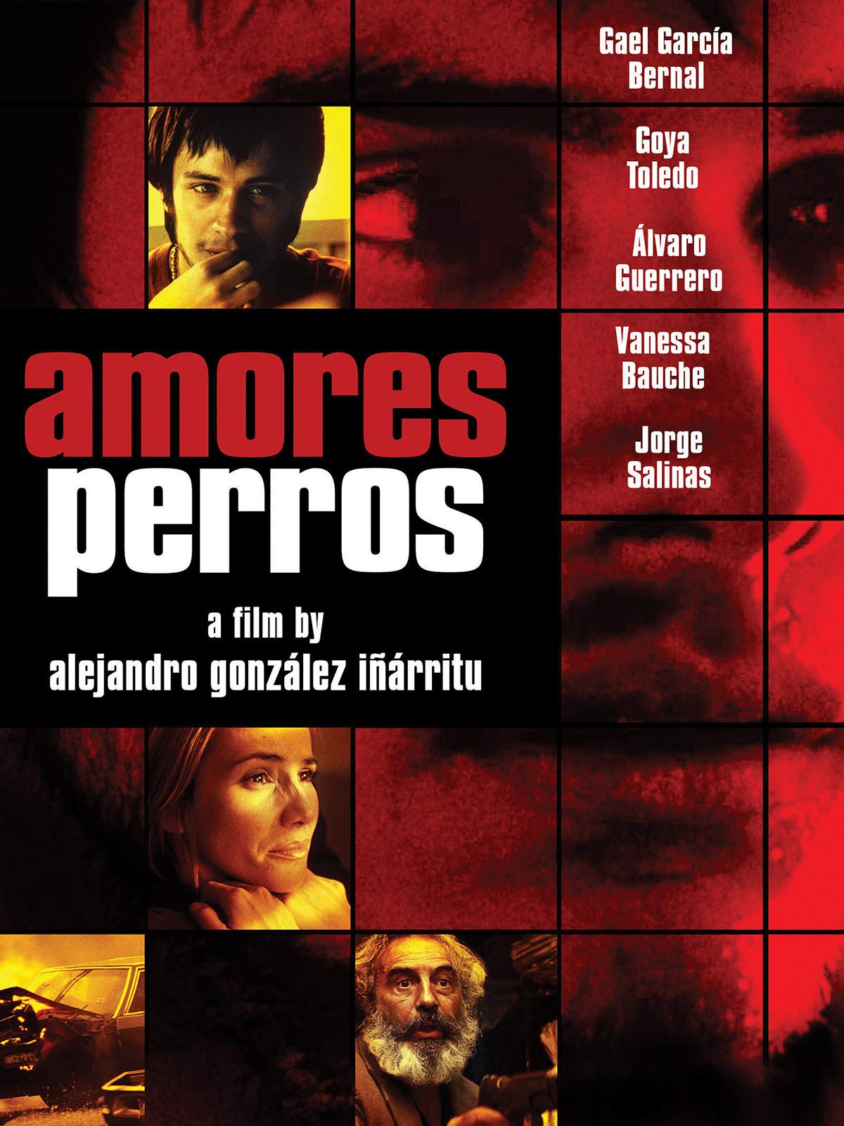Amores Perros
