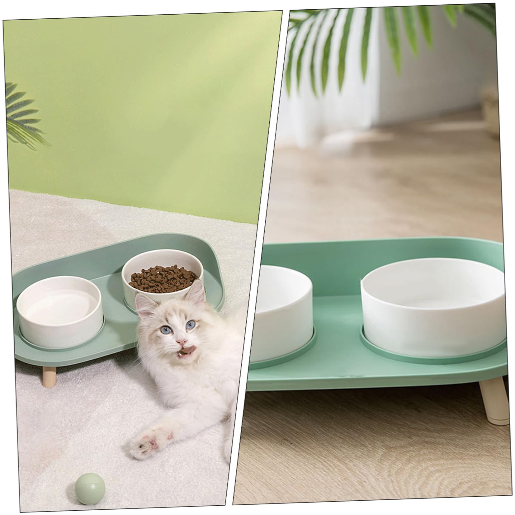 Katzenschälchen aus Keramik Doppelnapf für Katzen Grün Wasserundurchlässig Hitzebeständig für Bequemes Fressen