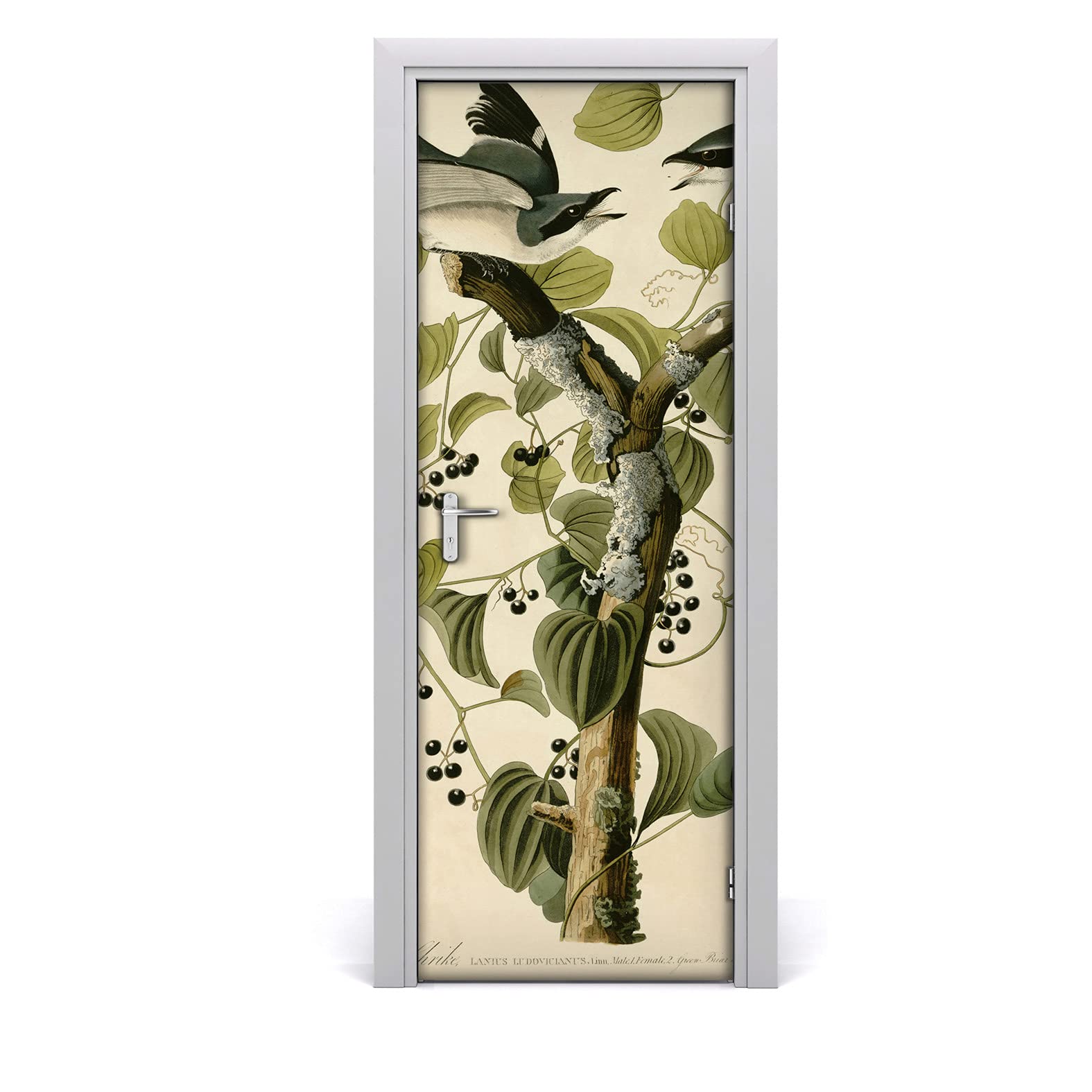 Vinilo para puerta impermeable y extraíble 85x200 cm diseño botánico