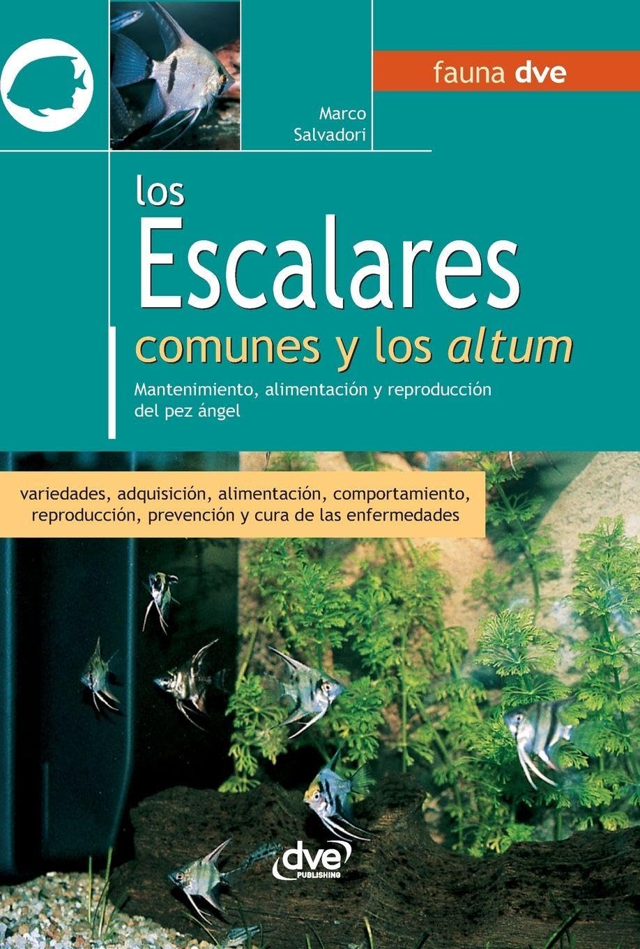 Los escalares comunes y los altum: Mantenimiento, alimentación y reproducción del pez ángel