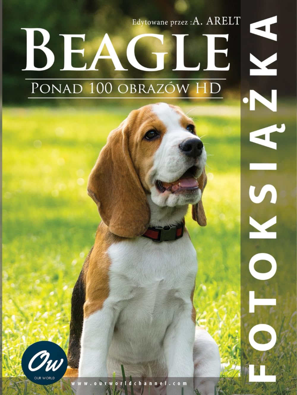 Beagle fotoksiążka livre photo à ouverture à plat avec impression HD