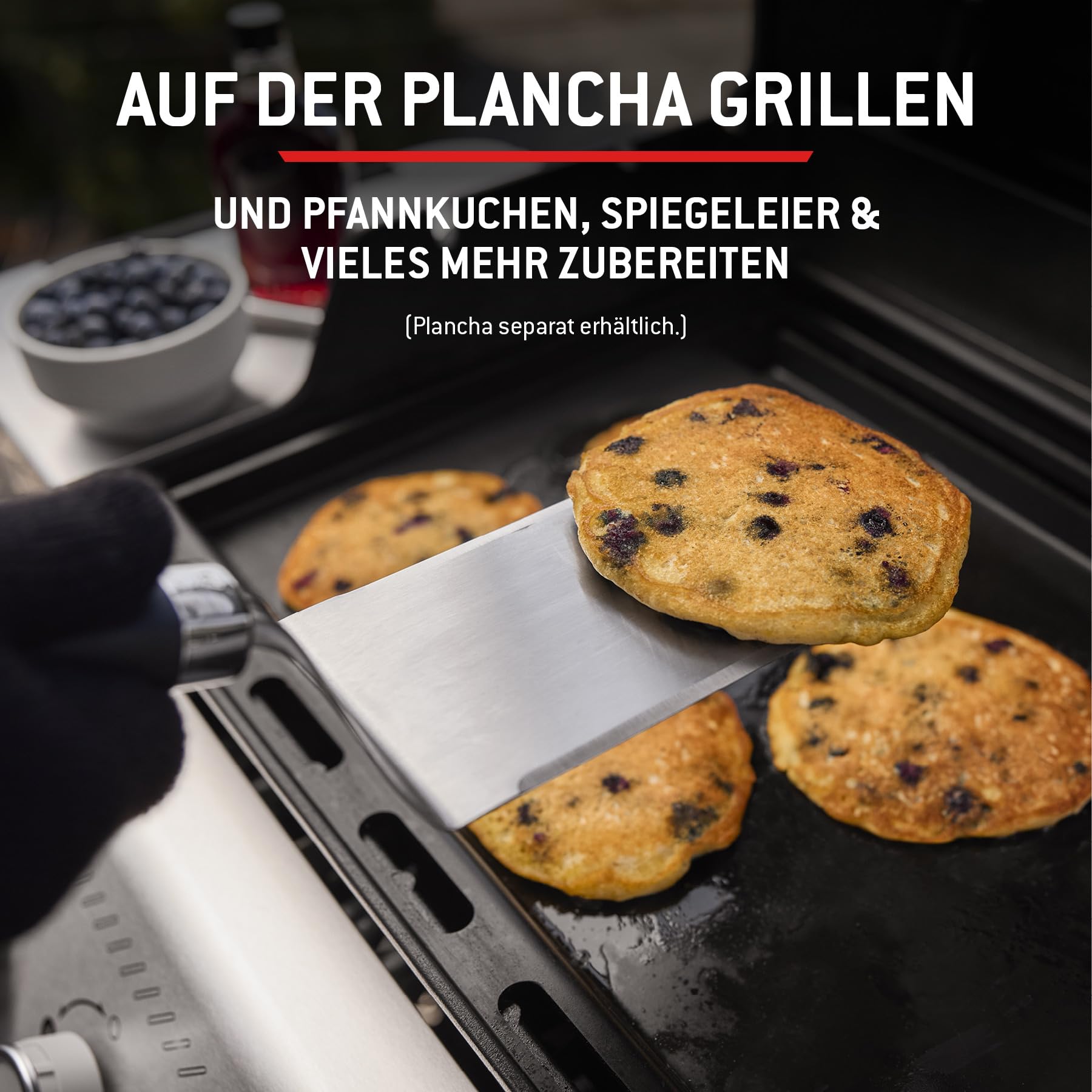 Weber Spirit E-310 Gasgrill
