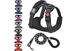 No Pull Dog Harness, No More Pulling with Free Leash!