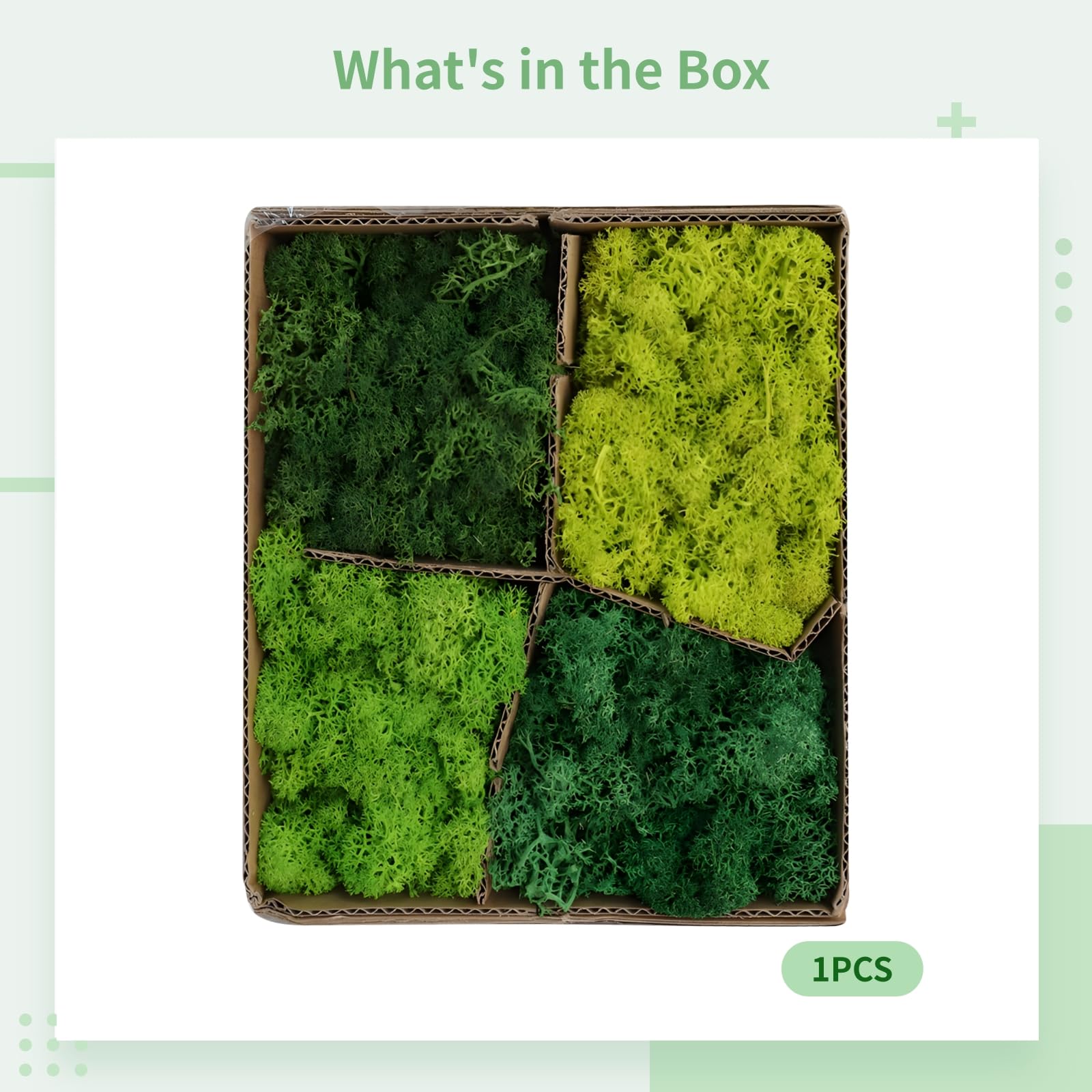 Generisch 1 Box konserviertes Moos, künstliche grüne Moosdeko in Vier Farbtönen, PE-Material, DIY-Bastelbedarf, Wanddeko für Zuhause, Terrarium, Modelllandschaft, für kreative Gestaltung