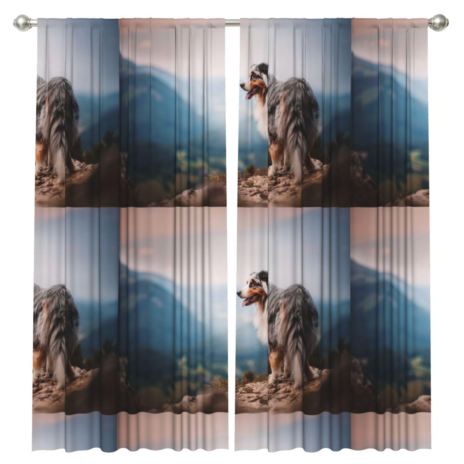 InOmak Australian Shepherd Mountains Aussie Pets Dogs, 2 Panels Window Curtains 52 x 84 Inch Blackout Curtains for Living Room Bedroom