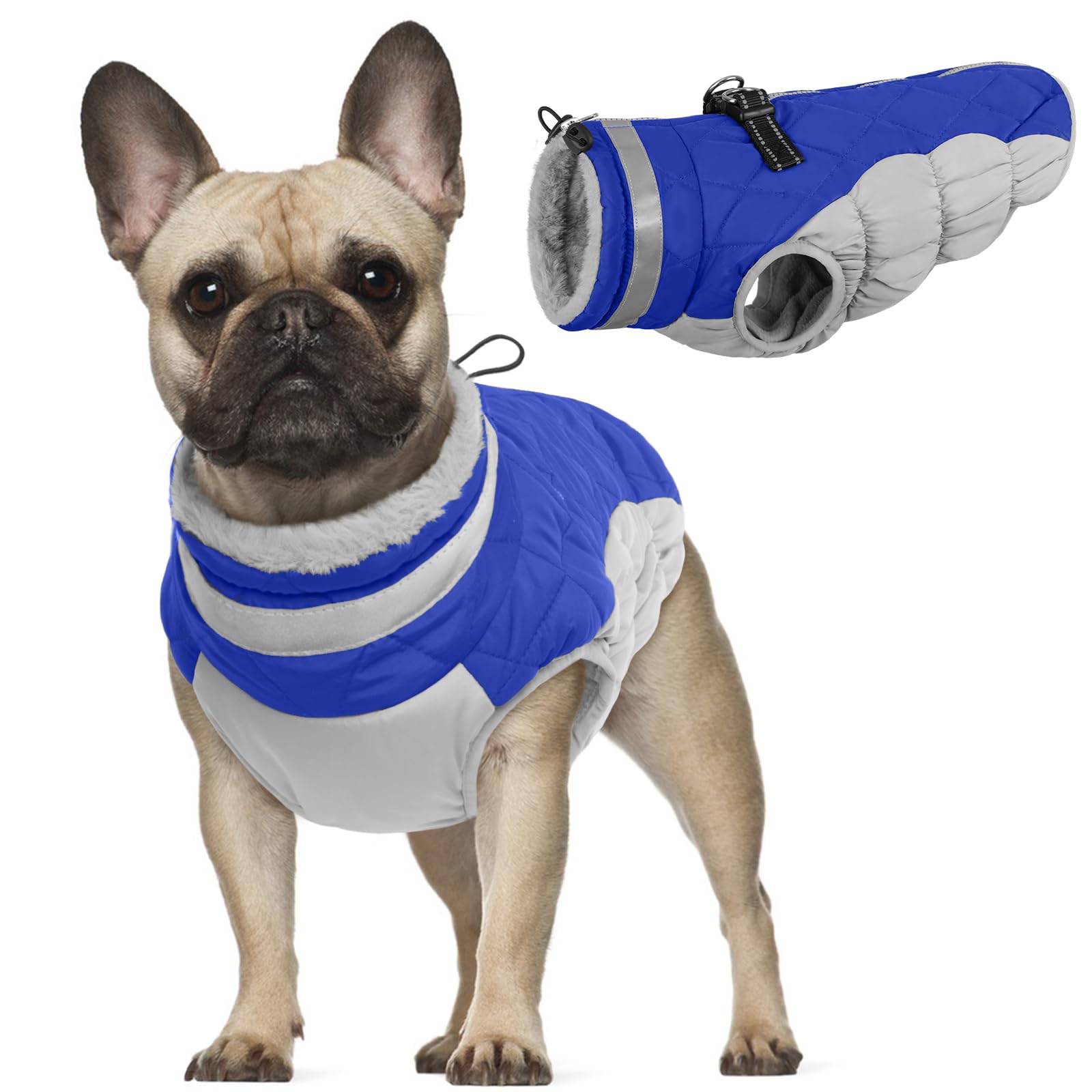 Piumino Cane XS, Cappotto per Bulldog Francese e Chihuahua, Blu
