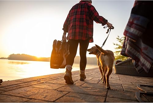 Miniatura 8 de Momarsh Cuna elevada para perros con almohadilla suave lavable y marco plegable para viajes y uso doméstico  Cuna todo en uno con pies