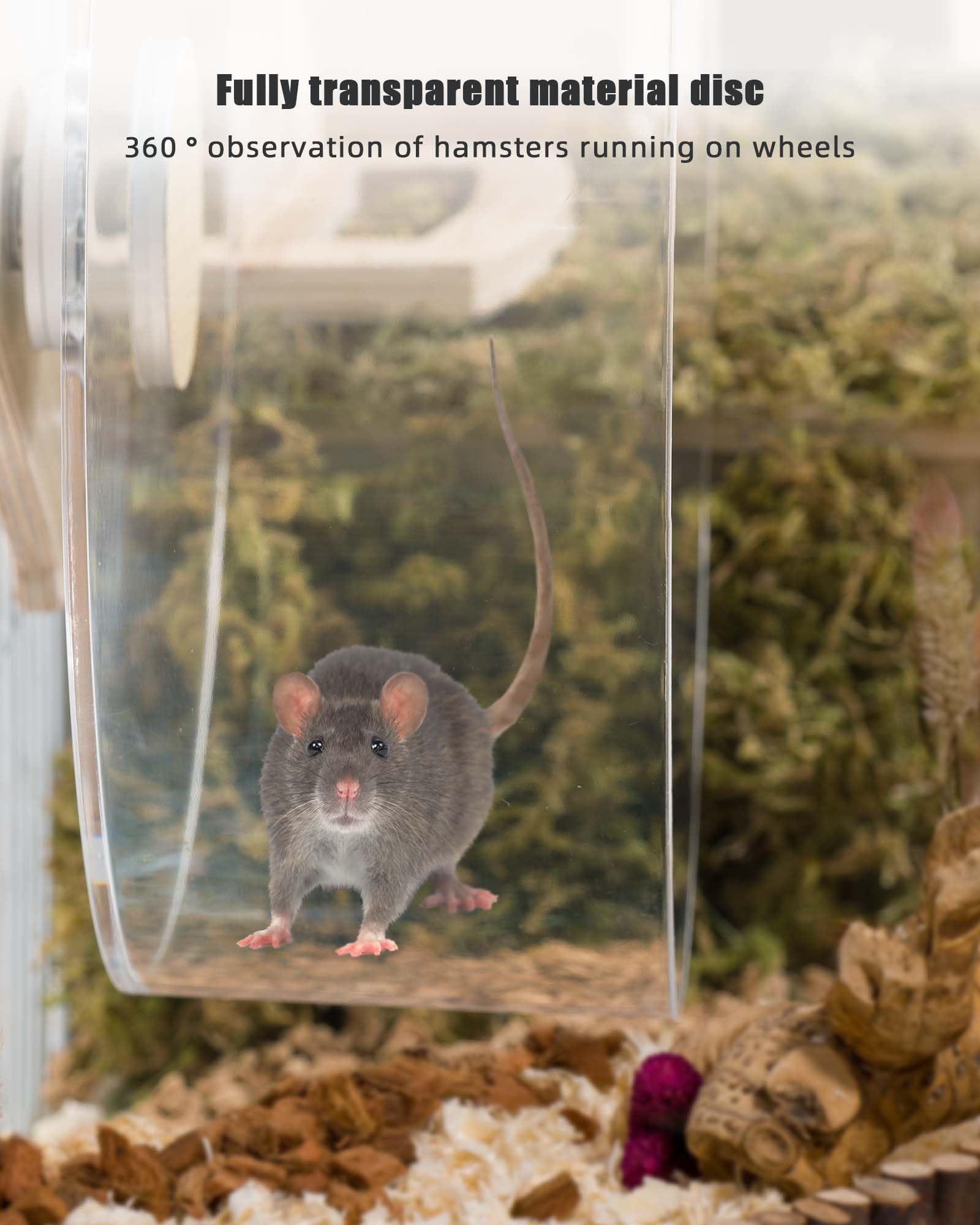 Niteangel Silent Hanging Hamster Wheel - Dual-Bearing Cage-Mounted Quiet Spinning Acrylic Exercise Wheel for Hamsters Gerbils Mice Degus and Other Small Pets (M) - image 5