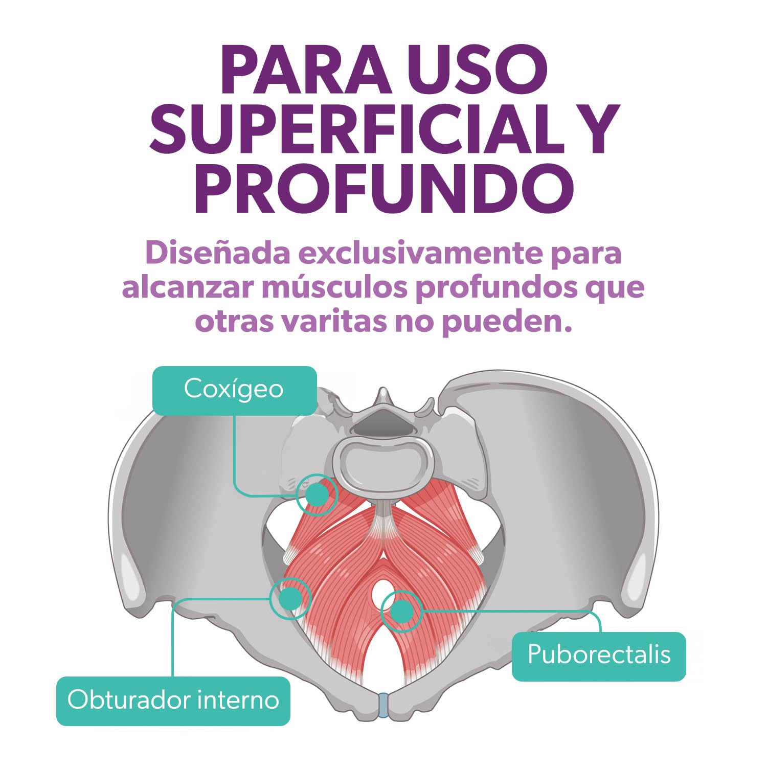 Intimate Rose Varita con vibración para aliviar el dolor muscular pélvico - Uso en Fisioterapia Pélvica para la Liberación de Puntos Nerviosos y Puntos Sensibles - Hombres y Mujeres