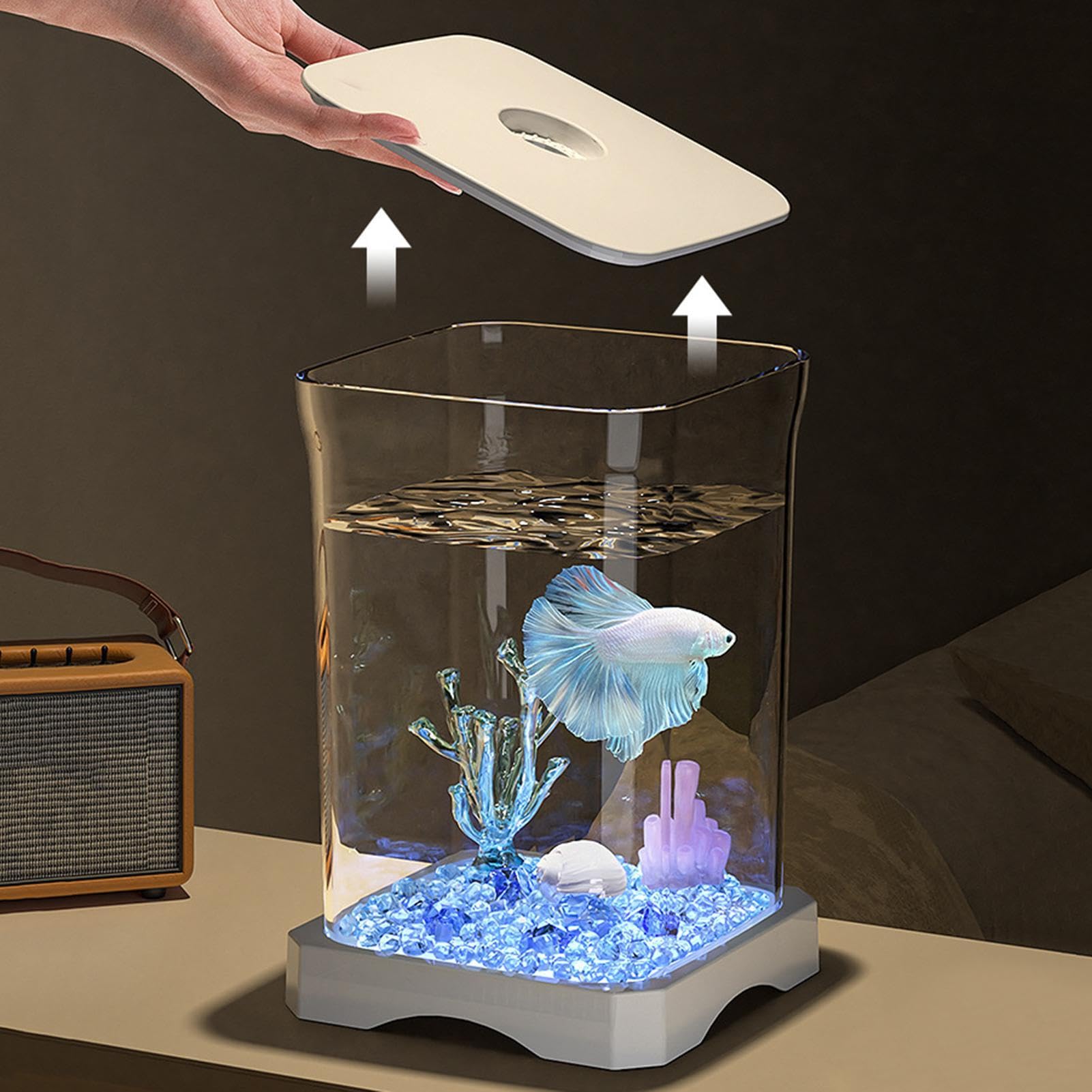 Amazon | ベタ水槽、ベタ水族館水槽,ベタ水槽4K HD 卓上水槽