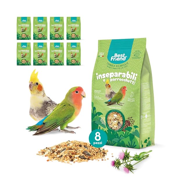 Best Friend Pienso Completo para inseparables y periquitos, alimento para pájaros con Cardo Mariano.…