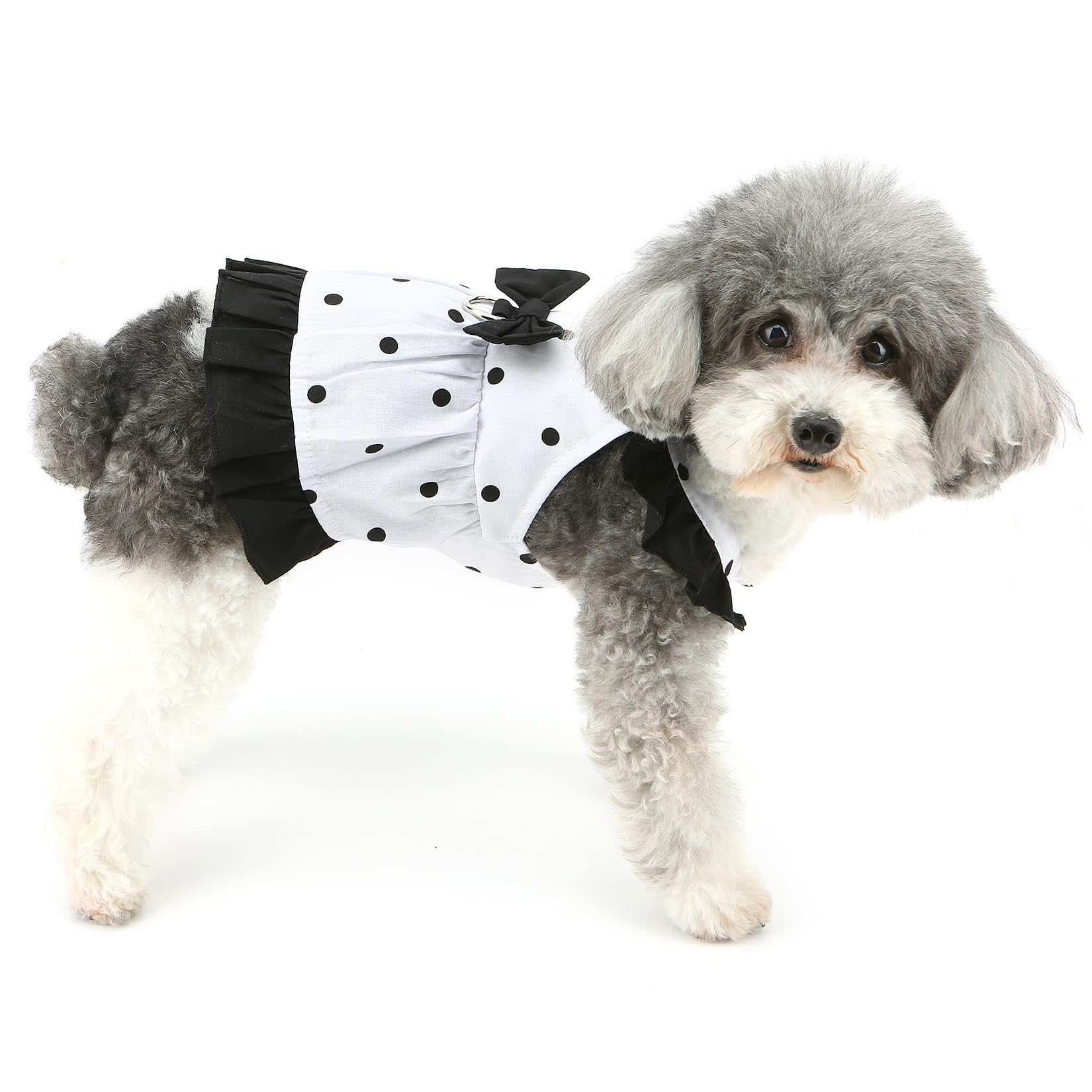Abiti per cani a pois con fiocco, gonna da principessa per cuccioli, nero, M