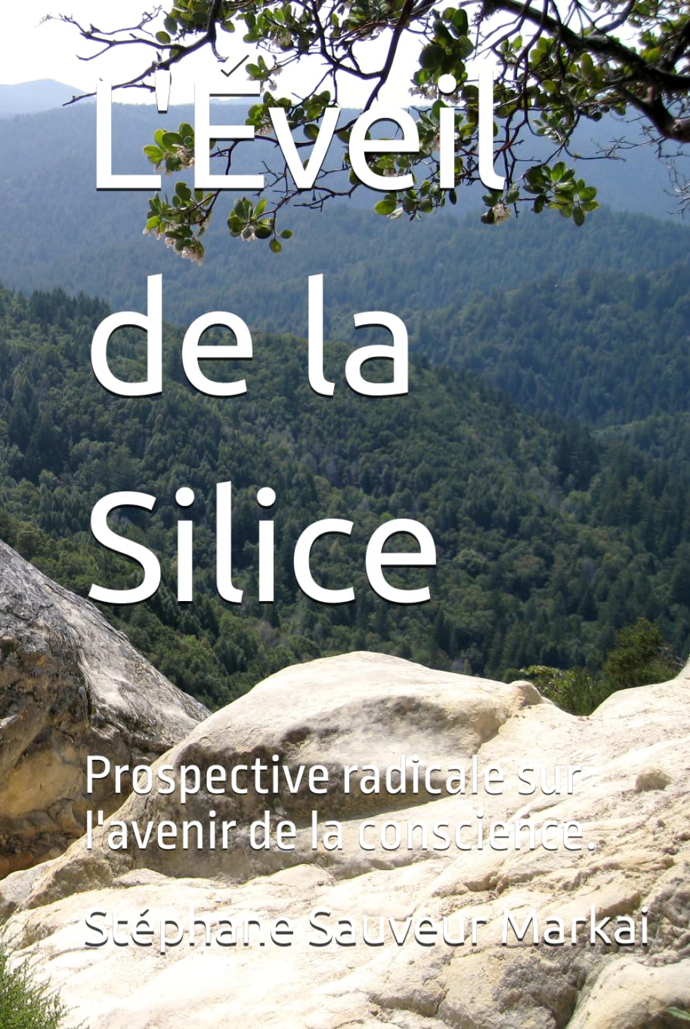 L'Éveil de la Silice: Prospective radicale sur l'avenir de la conscience.