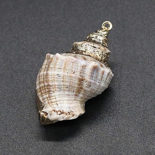 Miniatura 7 de 18 colgantes de concha natural, colgantes de caracola en espiral, diseño de conchas marinas, conchas náuticas de Cowrie, dijes de joyería con fianza