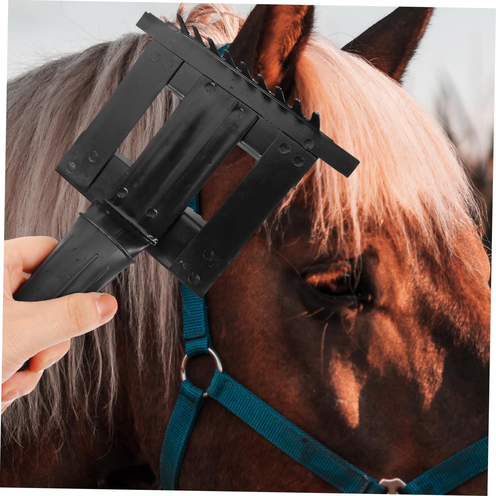 Sosoport 5piezas Peine De Limpieza Para Caballos Cepillo Ergonómico Para Deshedding y Cuidado De Mascotas Herramienta De Aseo Práctica y Duradera Para Eliminar Pelo y Suciedad