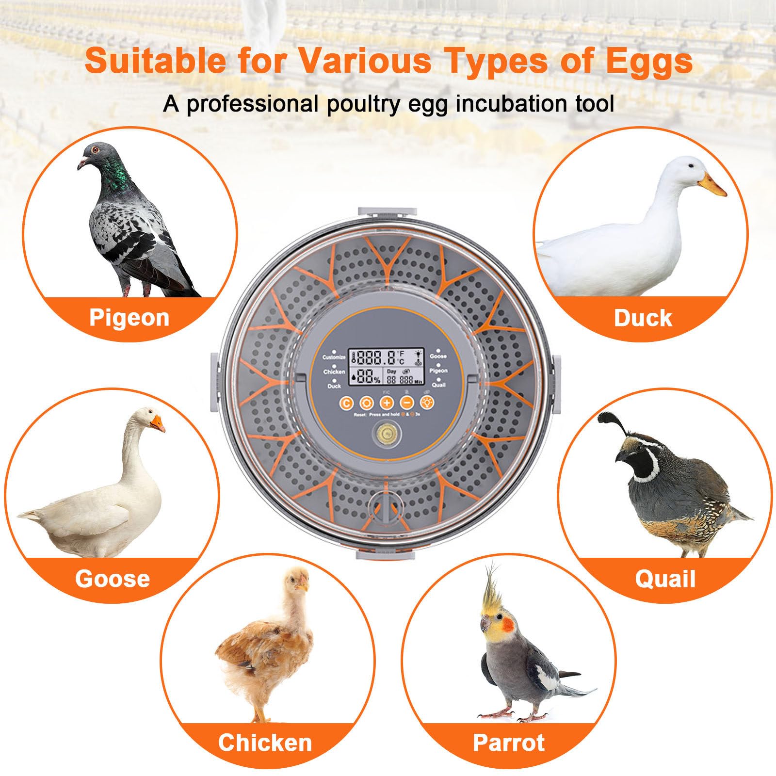 Incubadora de huevos para incubar huevos con control de temperatura, giro automático de huevos, visualización de humedad, vela de huevo para pollo, pato, ganso y codorniz