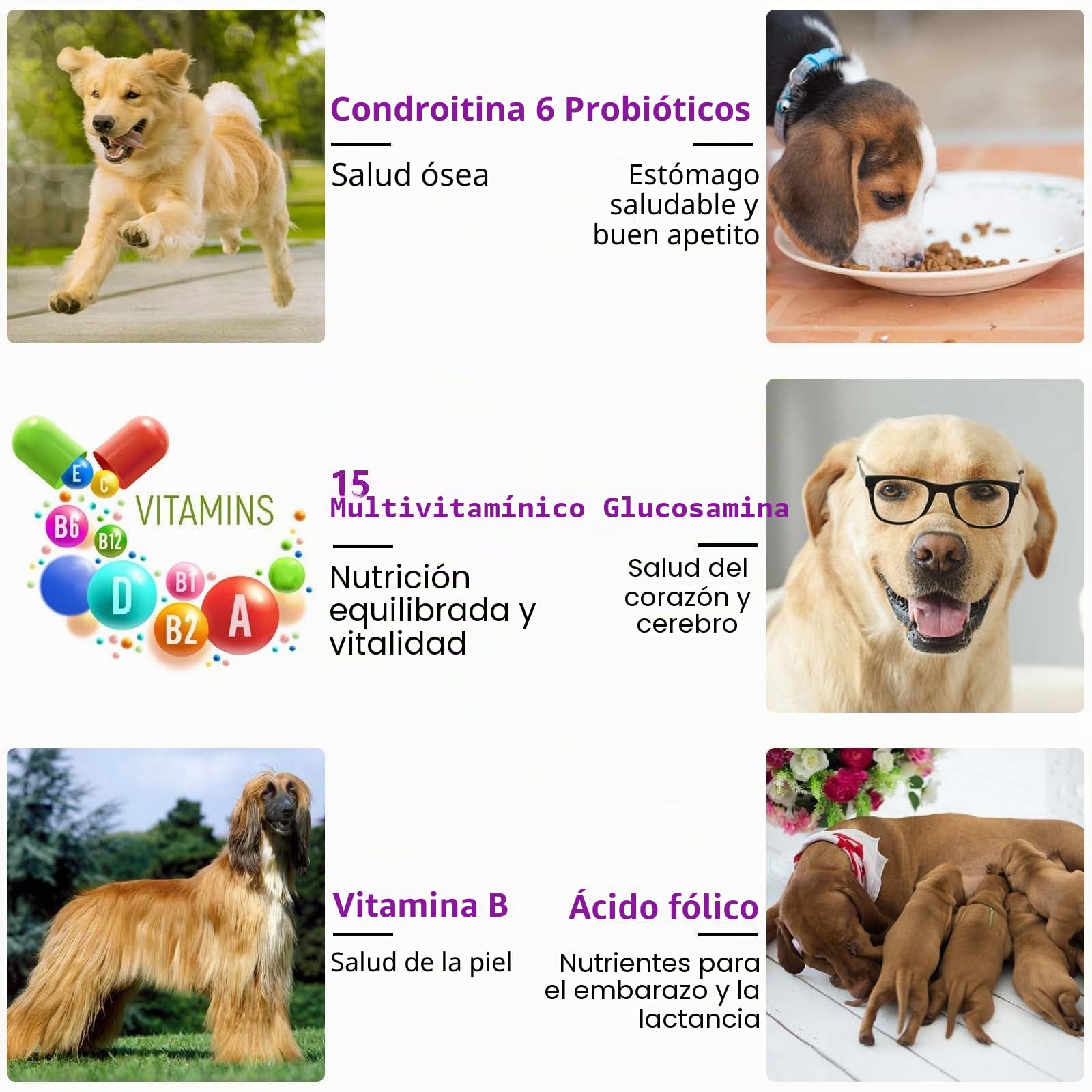 Multivitamínico 15 en 1 para perros - 150 snacks masticables con soporte para las articulaciones, salud digestiva, corazón, piel y pelo - Vitaminas para perros A, E, D3, B12 y minerales esenciales