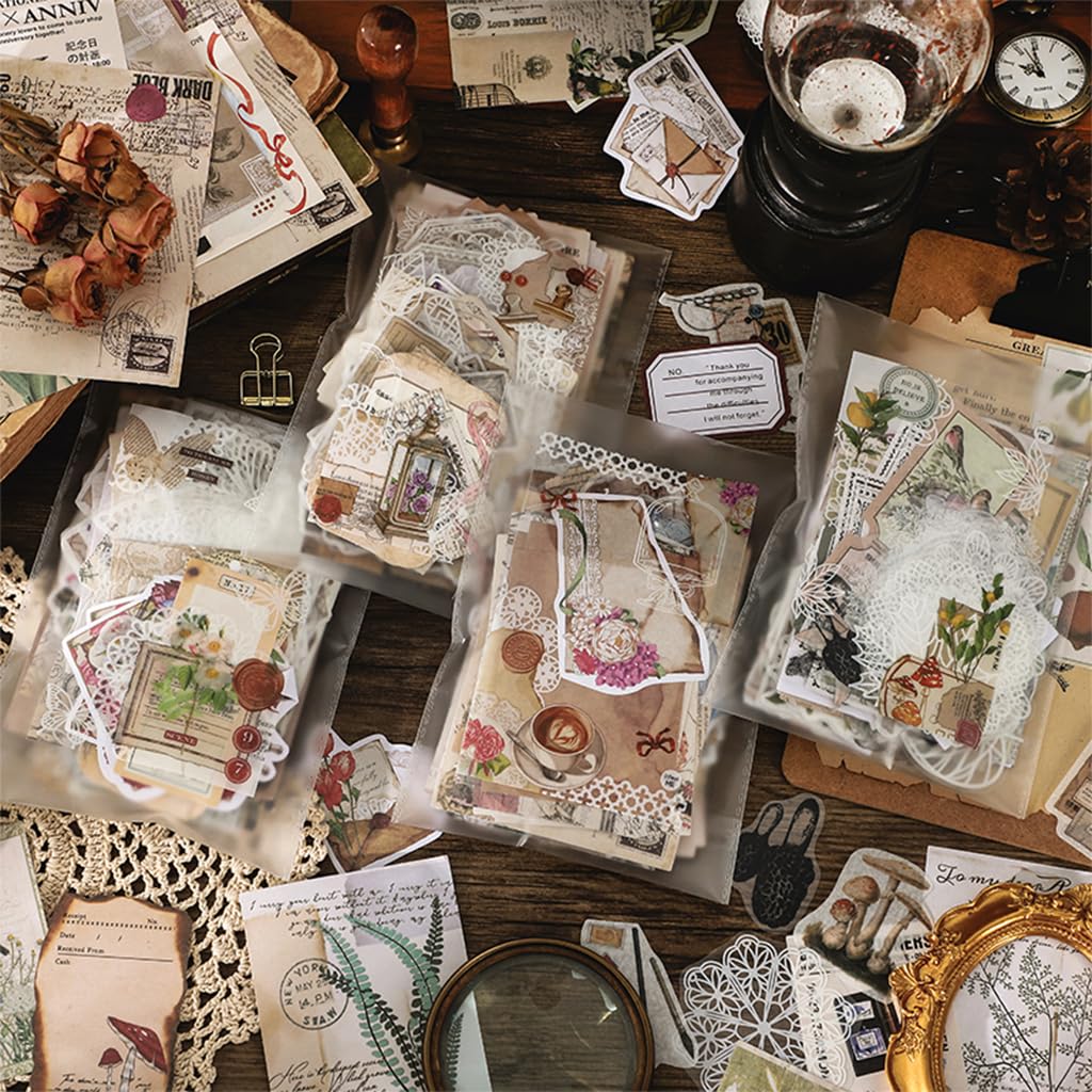 HASTHIP® 260Pcs Sheets Vintage Journaling Supplies, Scrapbook Paper Kit Aesthetic Floral & Vintage Elements, Washi Tape, Stickers, Material Papers, PET Stickers for Junk Journals Planner Retro Craft 4