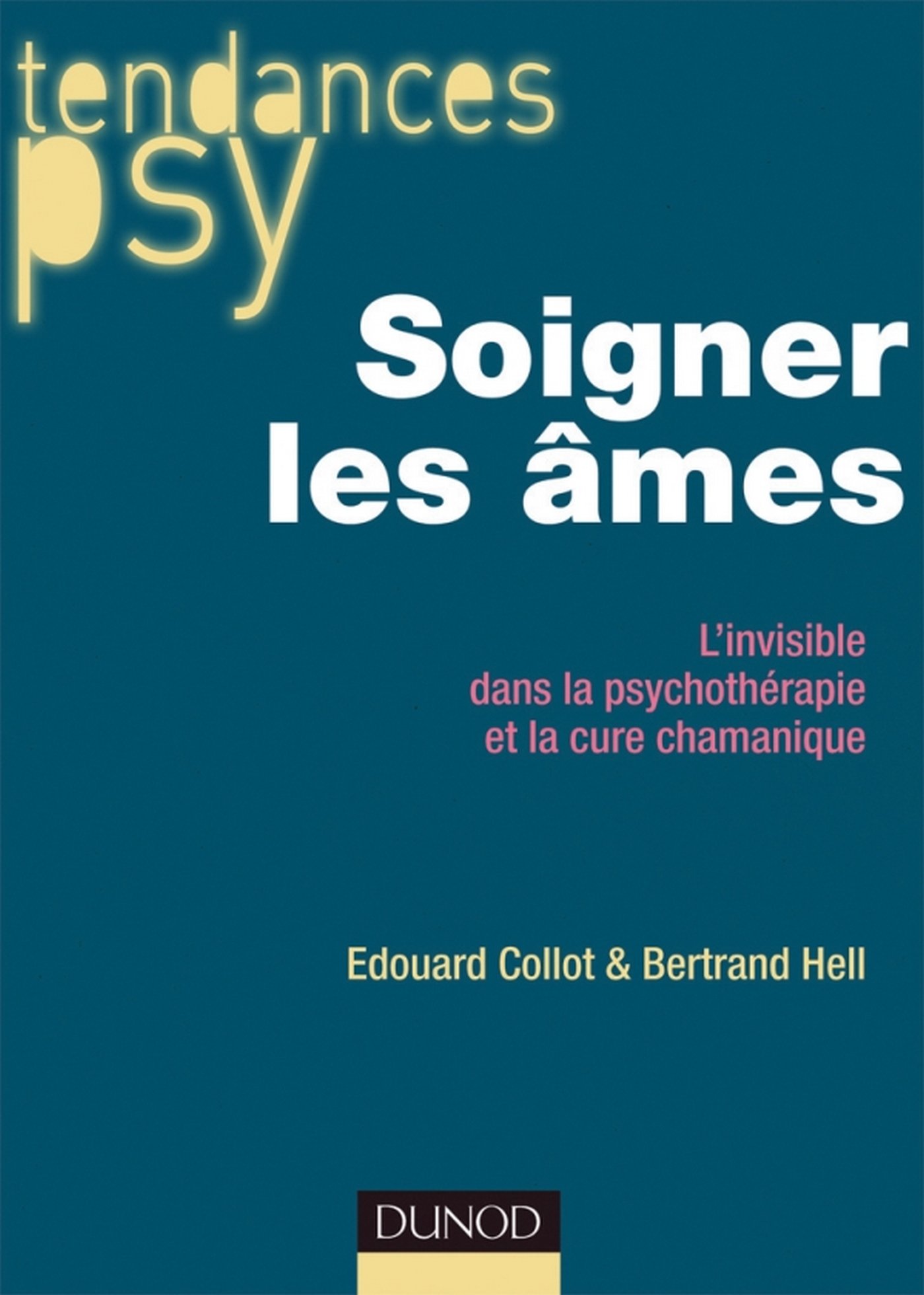 Soigner les âmes: L'invisible dans la psychothérapie et la cure chamanique (Tendances psy) (French Edition)