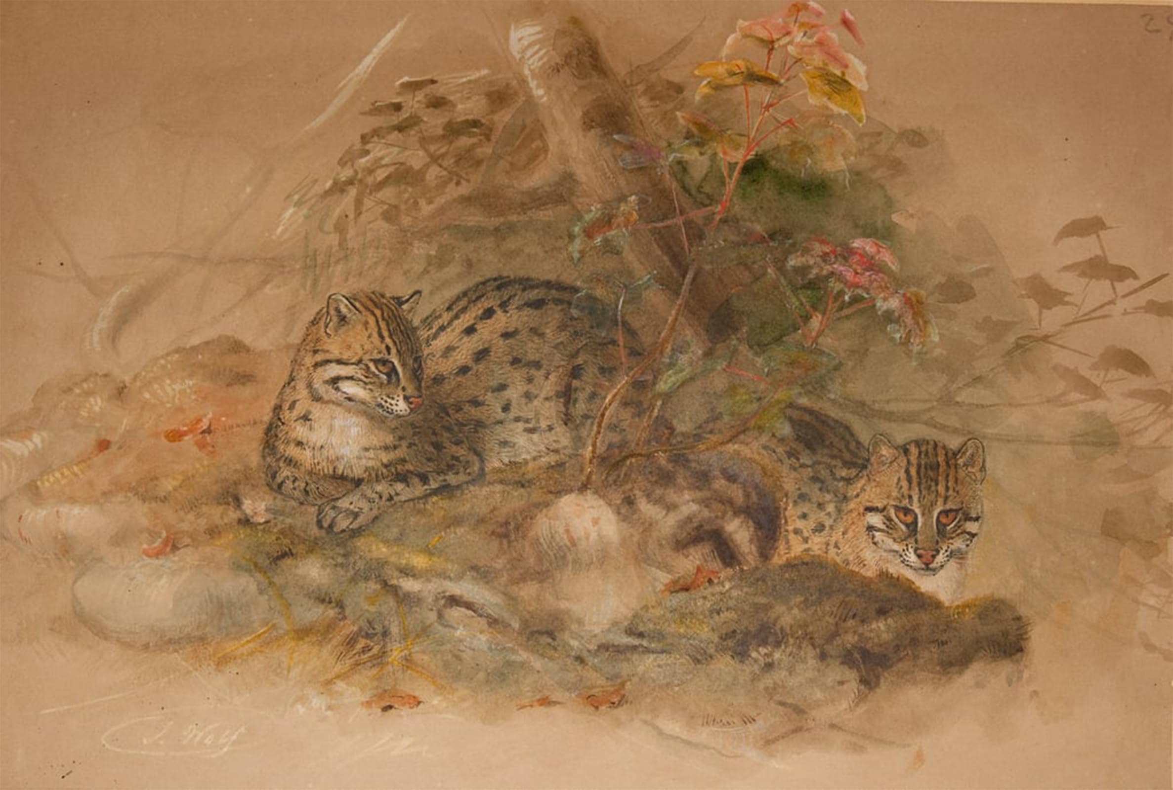 ARTXLXXBN Famous Painting Art Wall Decor Abstract Art Picture Clouded Leopard by Wolf Animal Pictures for Home Decor 60x90cm
