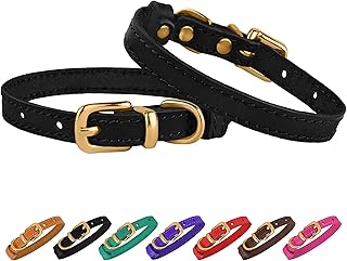 supreme dog leash amazon