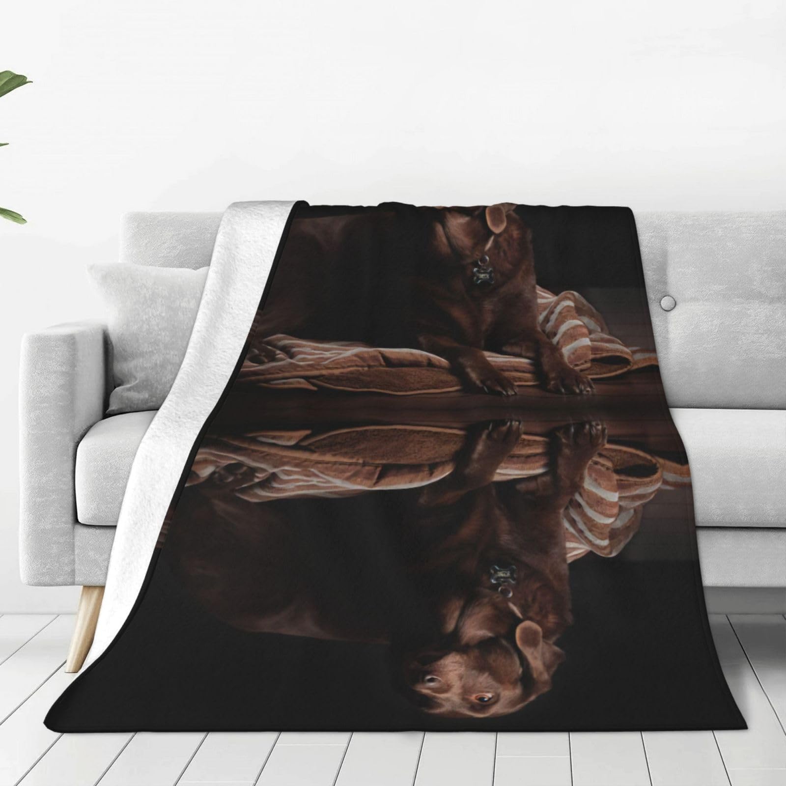Couverture micro-polaire labrador marron pour des moments de complicité