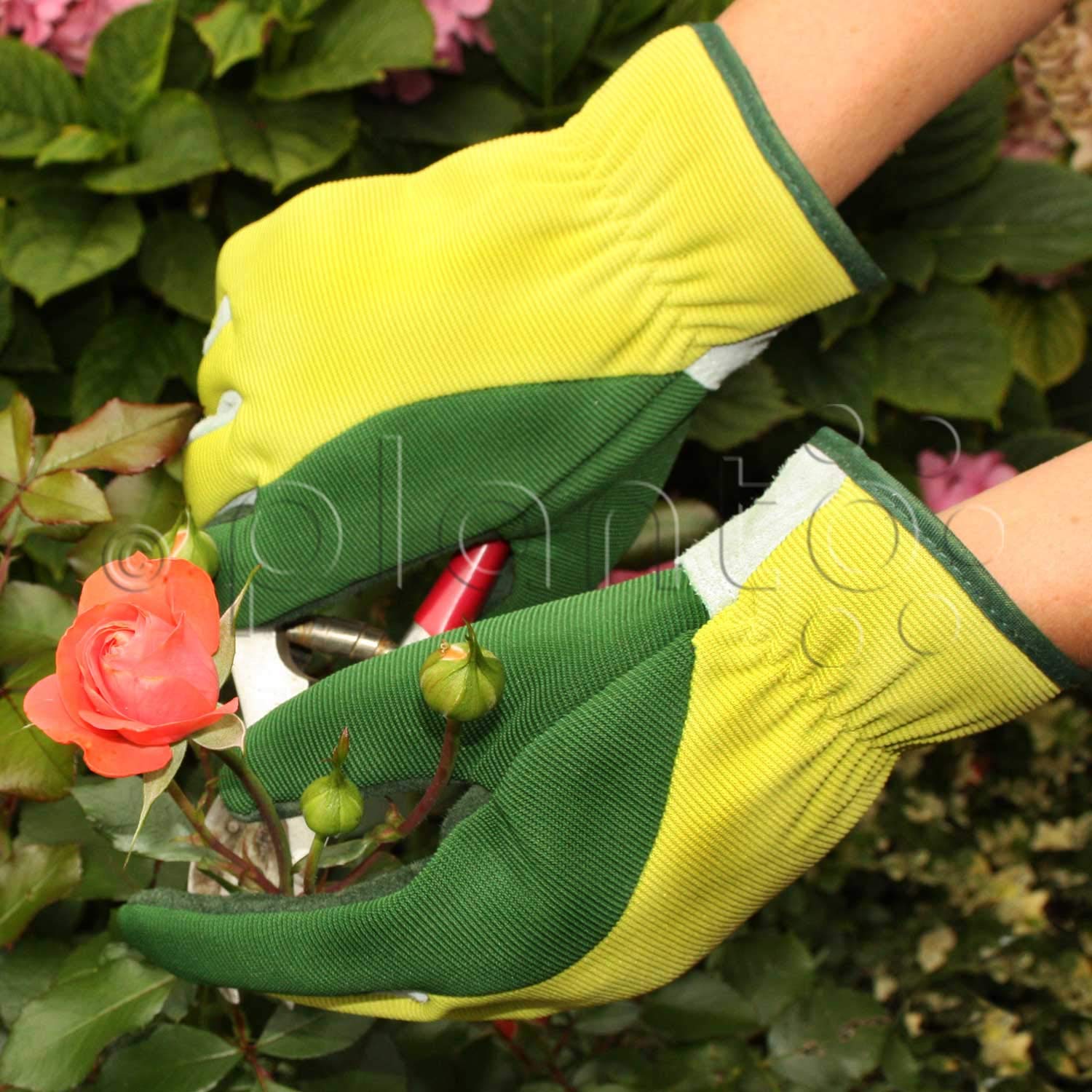 planto Leder-Gartenhandschuhe Flex, Gr. 8, Profi Arbeitshandschuhe aus bestem Rindsleder, Thornproof Gloves (5 Paar)