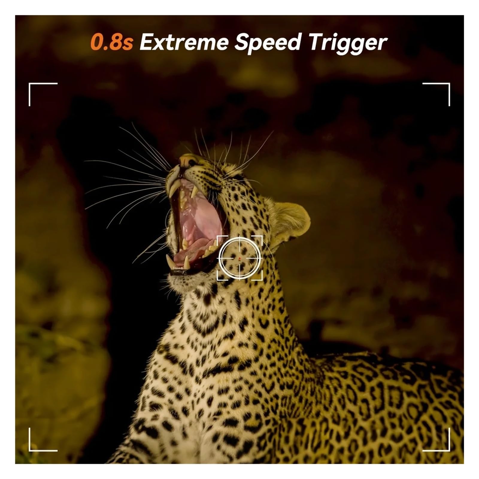 Kamera Obserwacji Dzikiej Przyrody Kamera Myśliwska Dziki Noktowizor Na Podczerwień Outdoor Motion Trail Game Cam Aktywowana Śledząca Fotopułapka Wild Surveillance(NO Card)