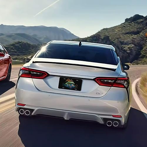 Miniatura 5 de Placa de matrícula frontal de neón con diseño de rana en roca, diseño de hongo abstracto, de acero inoxidable a prueba de óxido, para hombres y