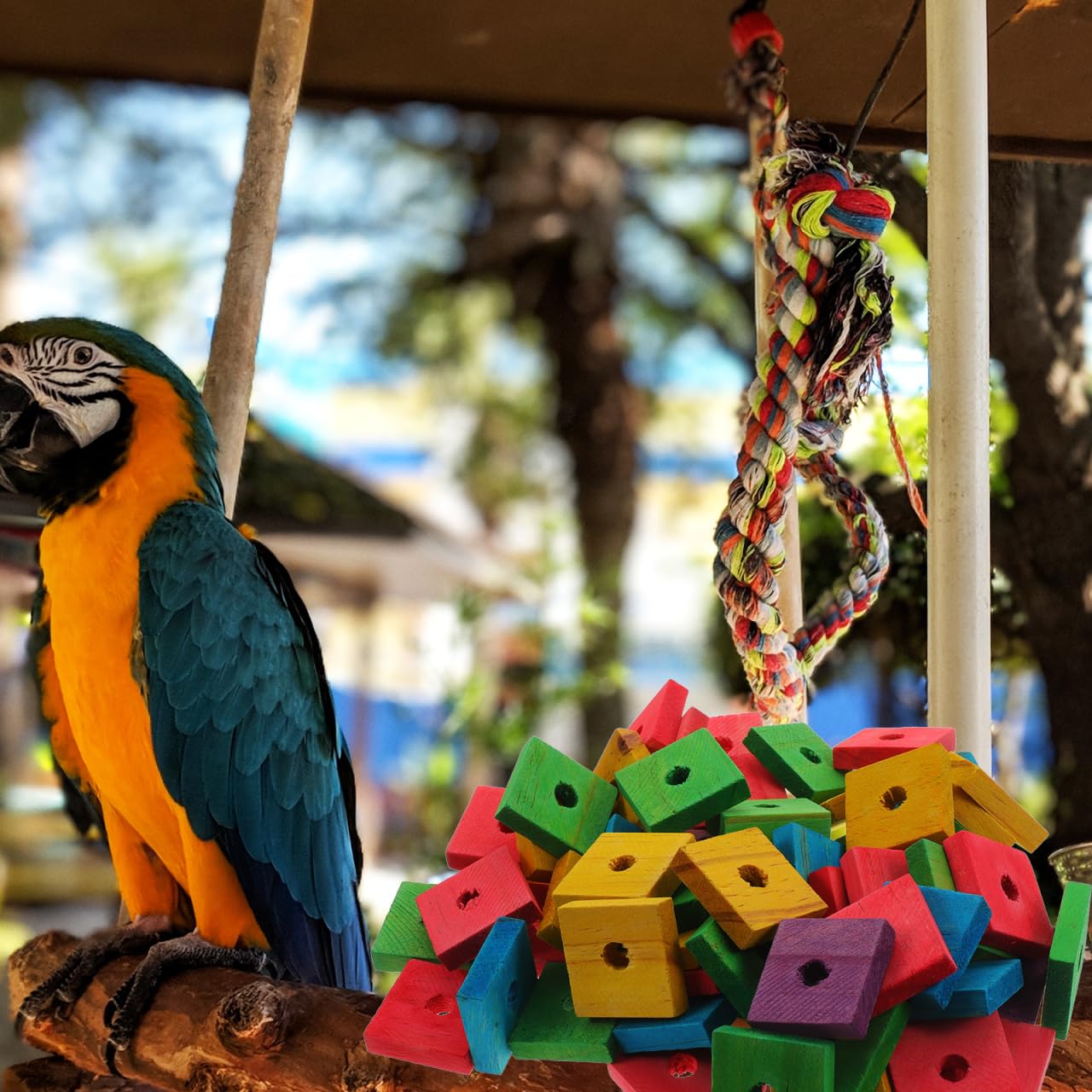 SUPVOX Lot de 100 blocs à mâcher en bois pour oiseaux : jouets pour perroquets, jouets pour perroquets à faire soi-même pour déchiquetage de grands oiseaux (couleurs mélangées)