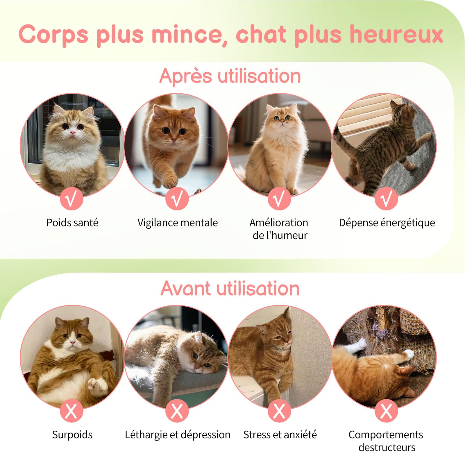 LEADZM Roue d'exercice pour Chat 80cm - Roue pour Chat pour 15 kg et Moins Chats - Connecteur de Rail en Plastique, résistant aux Rayures, Stable et Silencieux (Rose)