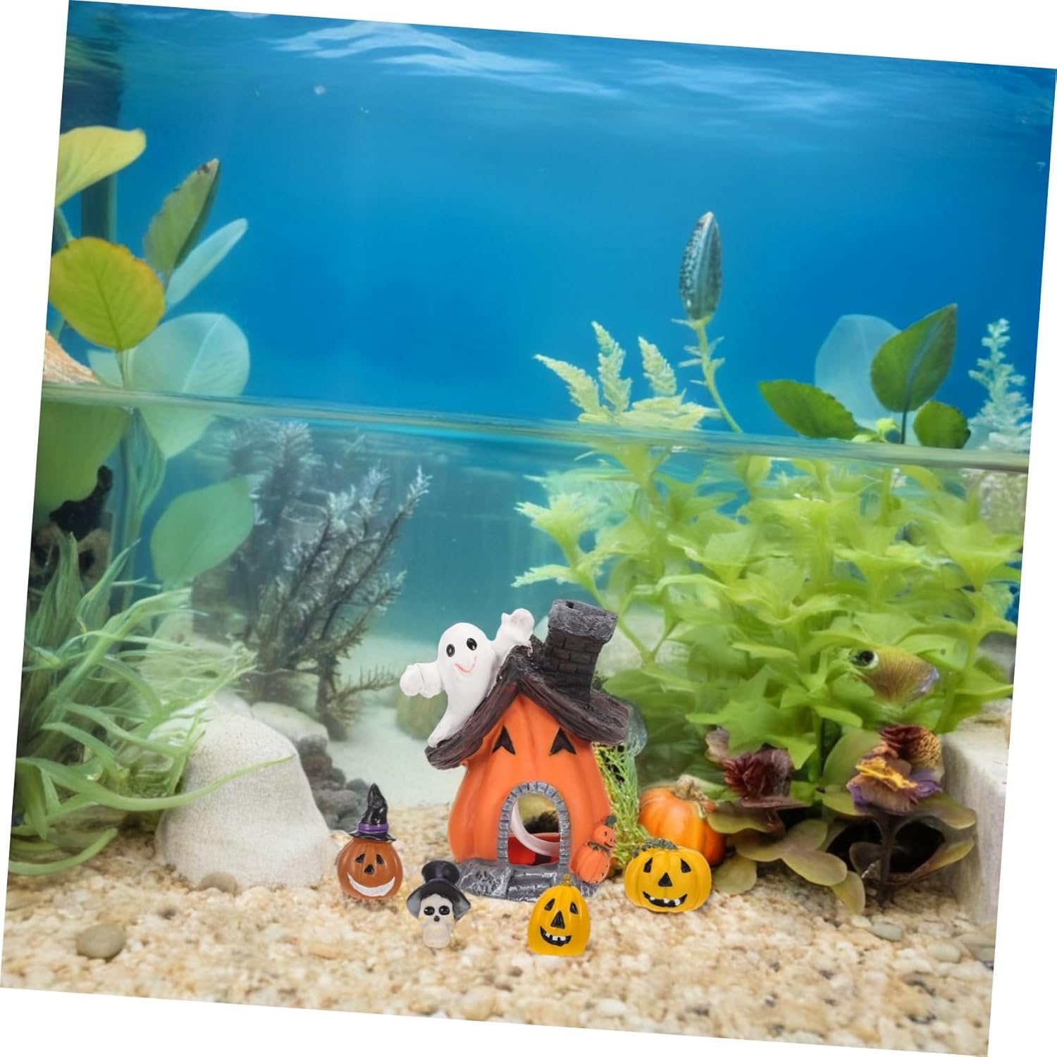 Housoutil 5pcs Fish Tank Pumpkin House Decoration, Halloween Fish Tank Decoration Supplies, Halloween Pumpkin Figurine Decorations Resin Stone for Betta, Small Lizards, Turtles, Reptiles, Amphibians