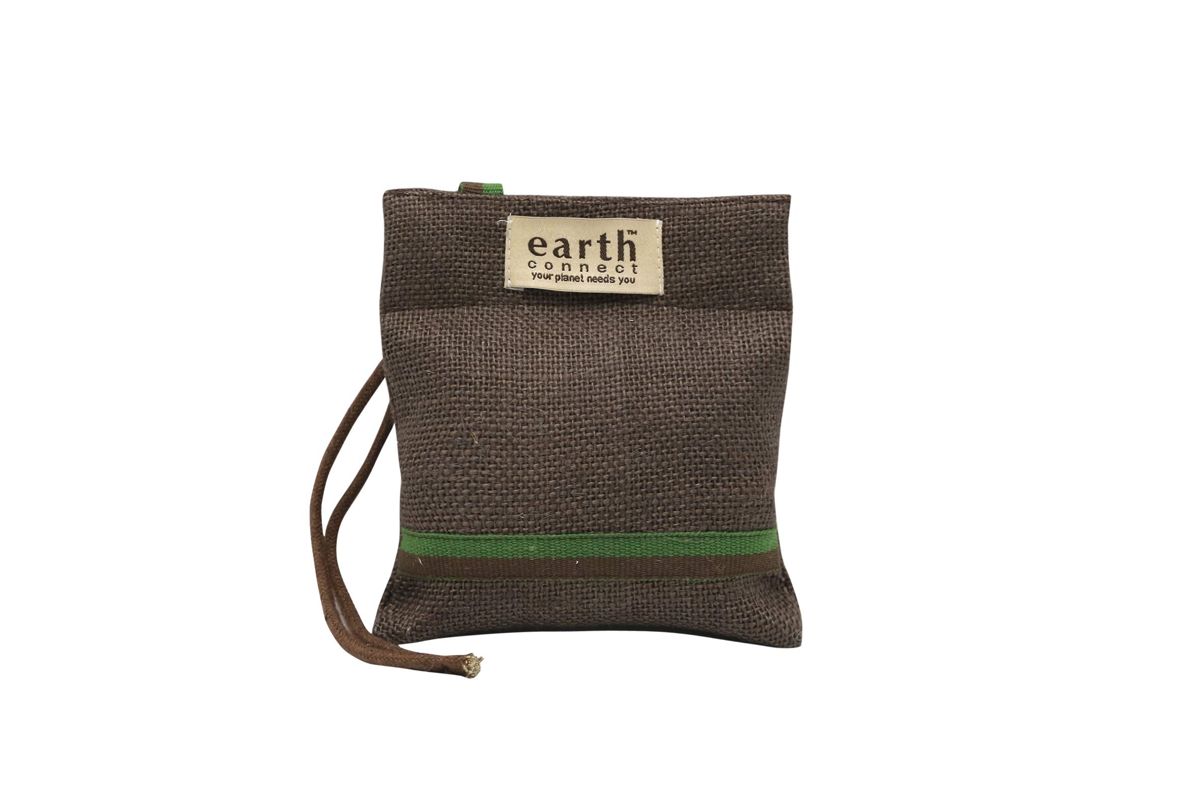 EARTH CONNECT Activated Coconut Charcoal Air Purifying Bag, 100g, Wood Brown