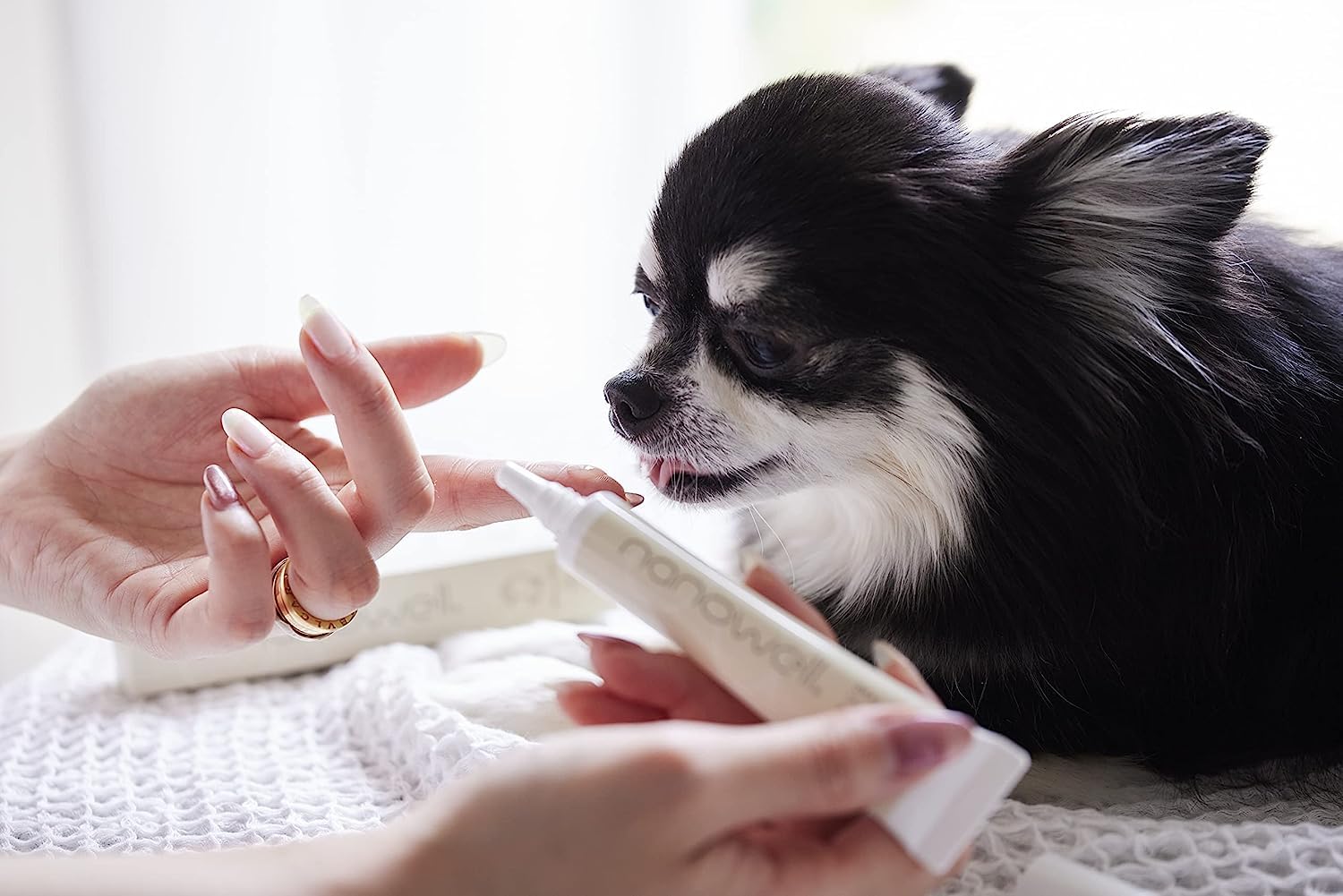 Amazon.co.jp: ナノウエルオーラルケア for DOG(愛犬用) 20ml × 2本