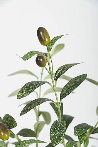 Miniatura 4 de Árbol de olivo artificial, planta de hojas de olivo falsas de 6 pies con canasta, árbol de seda topiario sintético perfecto para decoración de