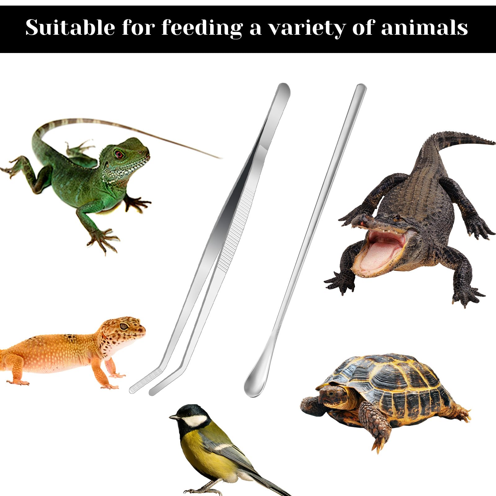 2 Pinces Longues En Acier Inoxydable Avec Embout Caoutchouc - Pour Nourrir Reptiles Et Travaux Manuels - 3