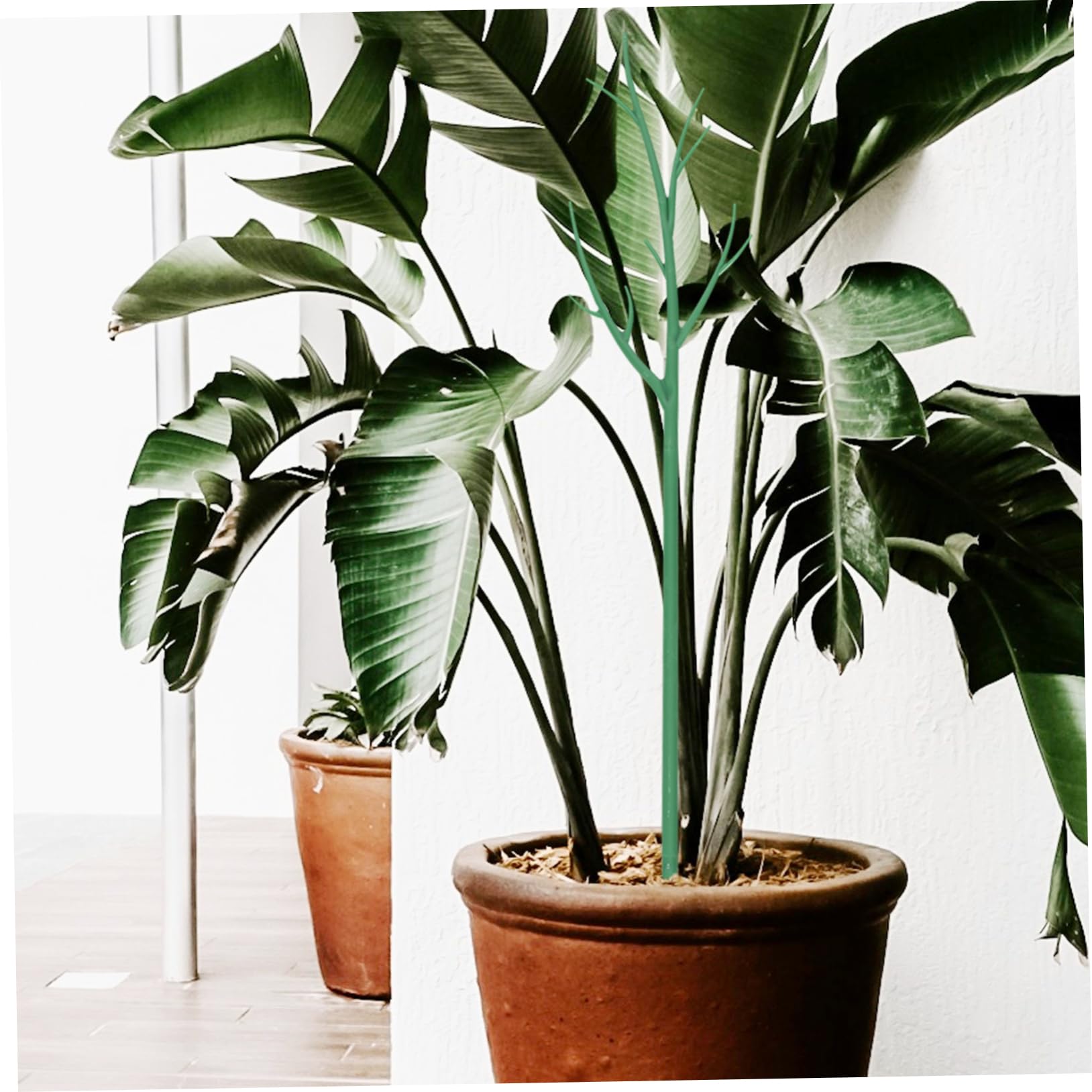 Tuteur De Plantes pour Usage Extérieur Et Intérieur 6 Pièces Treillis en Plastique pour Vignes Grimpantes Outil De Jardin pour Plantes en Pot