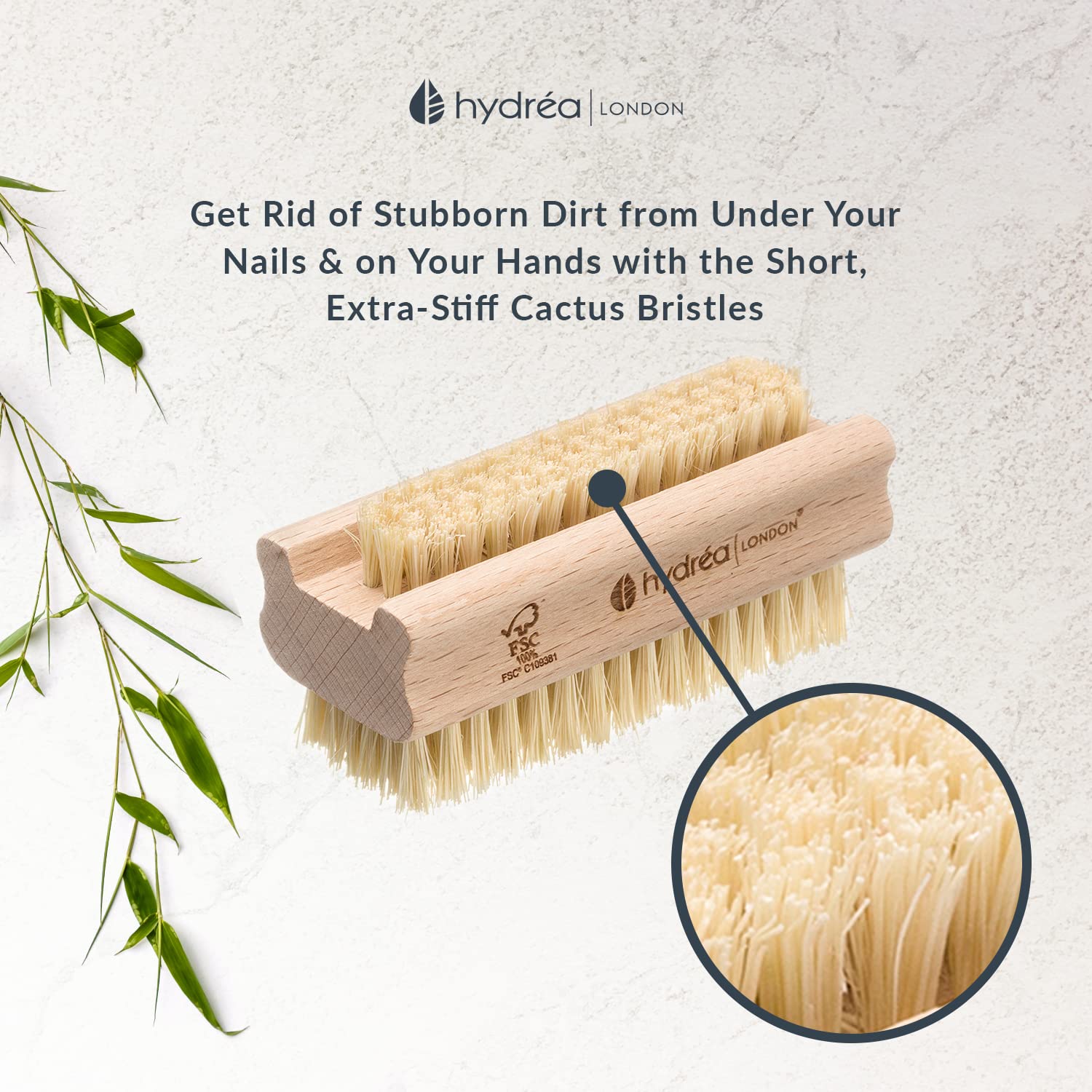Hydréa London Extra Tough FSC® Certified Beechwood Wooden Nail Brush With Firm Cactus Bristles Twin Pack