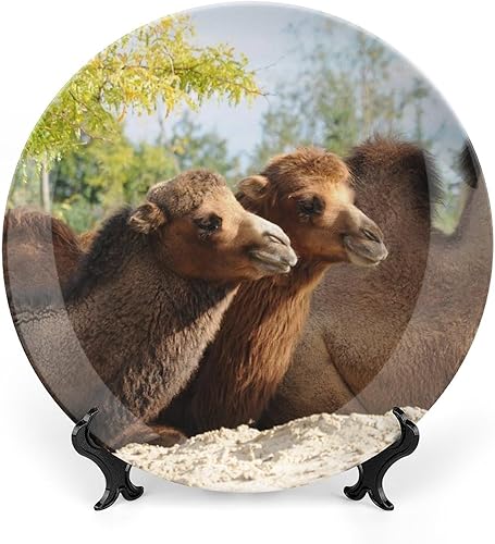 Plato decorativo de 7 pulgadas, plato redondo de cerámica con soporte de exhibición, plato de mesa de porcelana moderna, decoración para colgar en