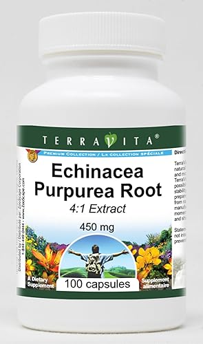 Extracto de raíz de Echinacea Purpurea 41 - 450 mg (100 cápsulas, ZIN 524179) - Paquete de 3