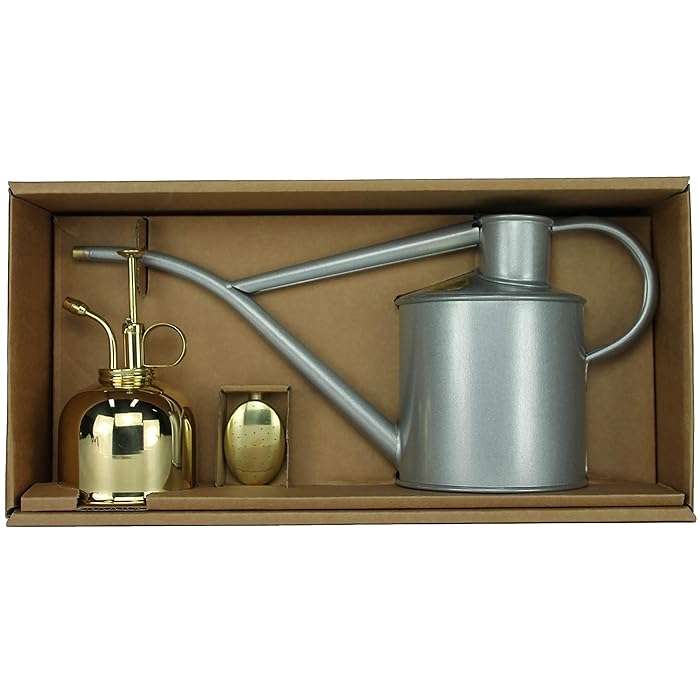 Buy Haws Watering Set with Can 1 Litre titanium and brass Plant Sprayer