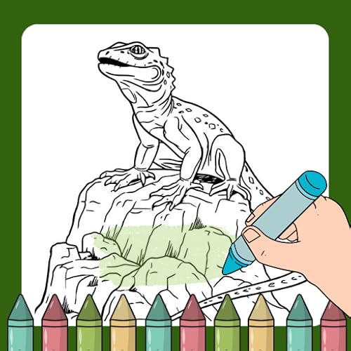 Lizards Coloring Book