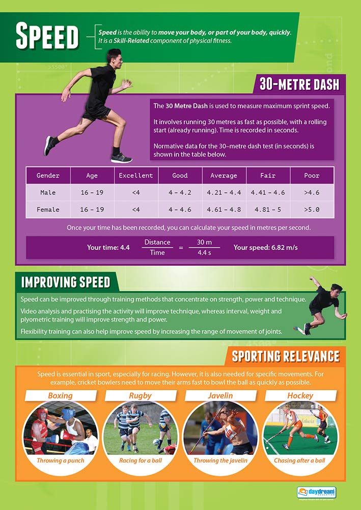 Speed | PE Posters | Laminated Gloss Paper measuring 850mm x 594mm (A1) | Physical Education Charts for the Classroom | Education Charts by Daydream Education — image 1