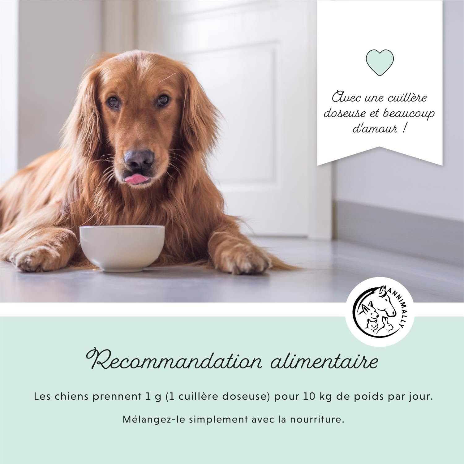 Poudre de soin dentaire pour chiens | Anti-tartre pour chiens - Nettoyage dentaire naturel et particulièrement efficace contre les dents jaunes, la mauvaise haleine et la plaque (350 g XL)