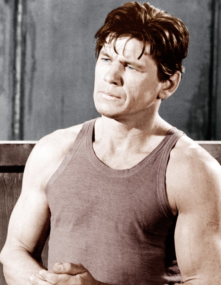 Amazon.co.jp: Posterazzi Charles Bronson Ca. 1960S フォト