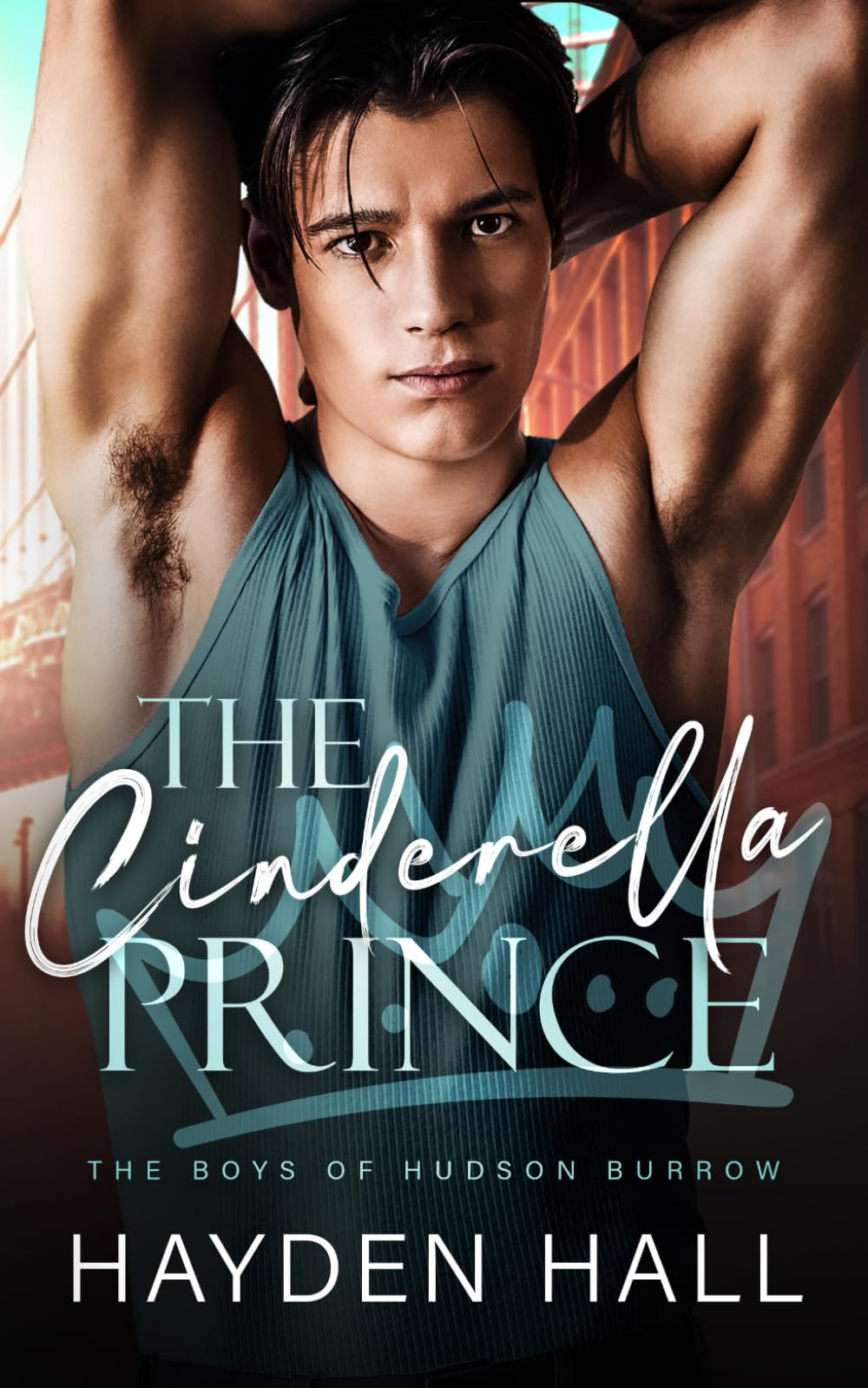 The Cinderella Prince: 1 (The Boys of Hudson Burrow)