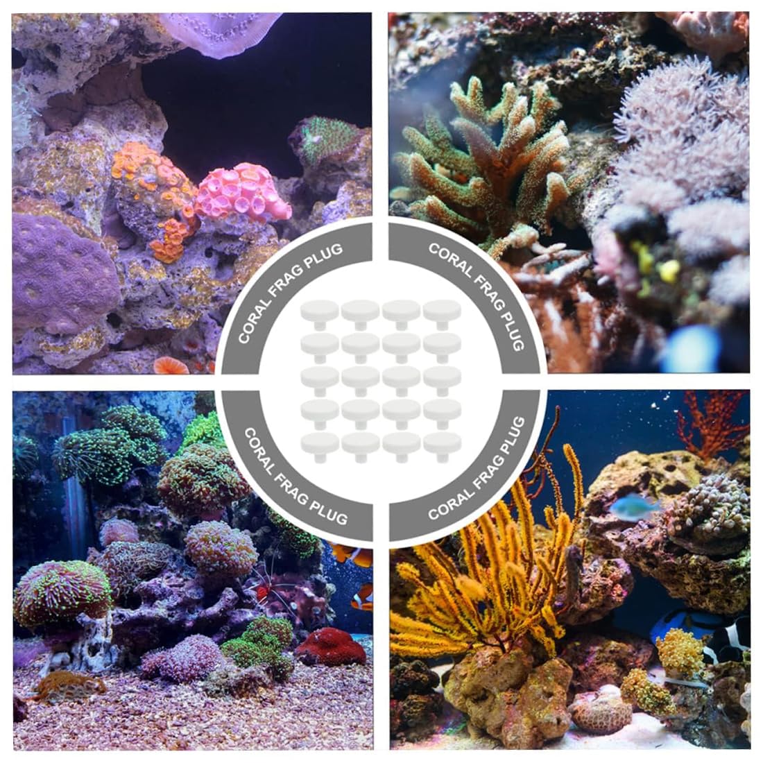 GGUFAY 10 Pièces Corail Frag Plug Céramique Frag Station Aquarium Corail Récif Base Support Corail Frag Stand Approvisionnements De Réservoir De Poissons 2. 3Cm