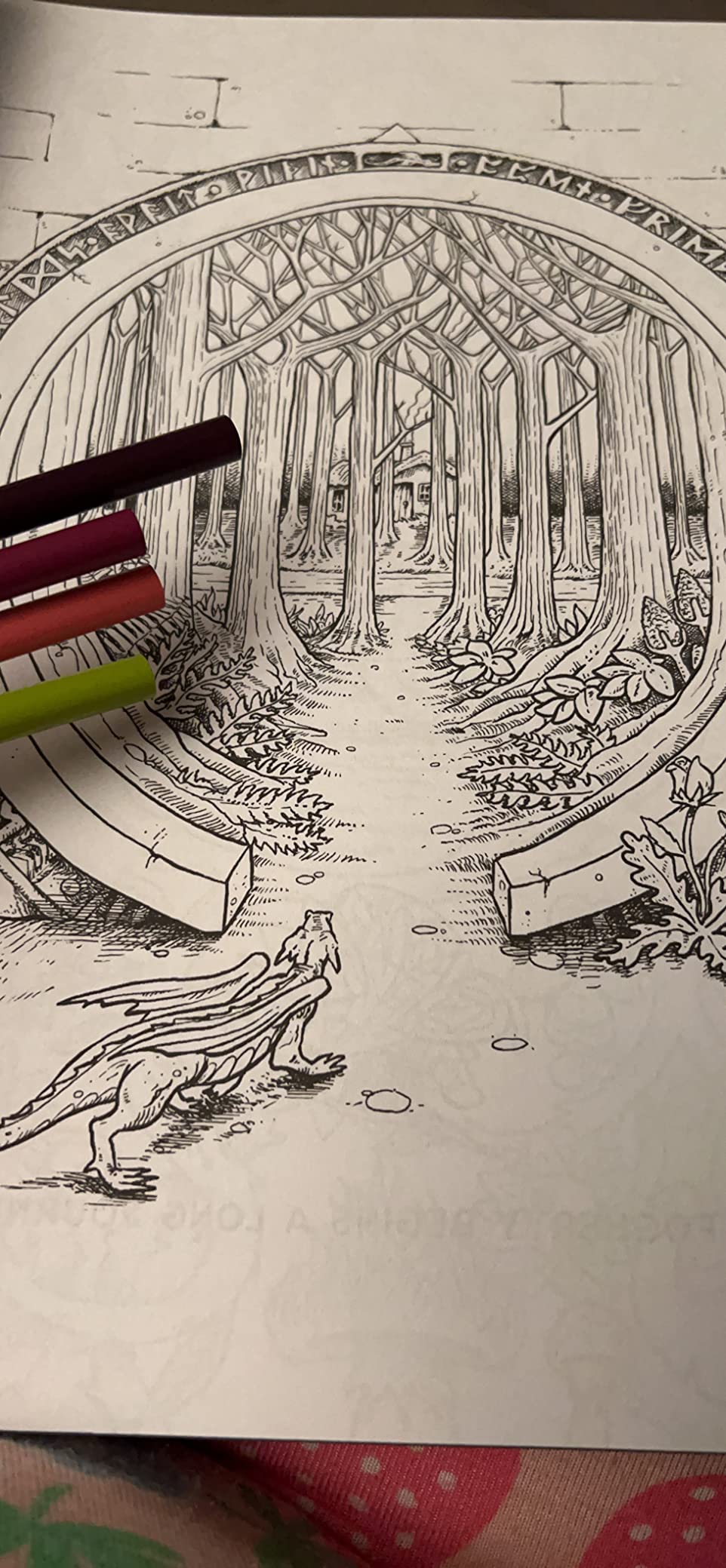 2/mo Finance Night Garden Coloring Book (R.J. Hampson Coloring Books