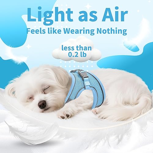 Miniatura 108 de AIITLE Arnés Escalonado para Perro y Juego de Correa - Chaleco Arnés a Prueba de Escape Sin Tirones con Malla Suave y Bandas Reflectantes, Arneses